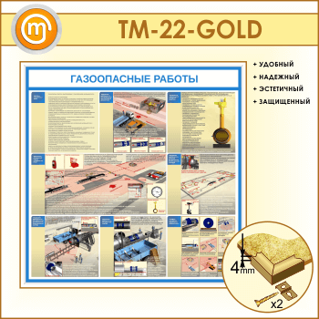    (TM-22-GOLD)